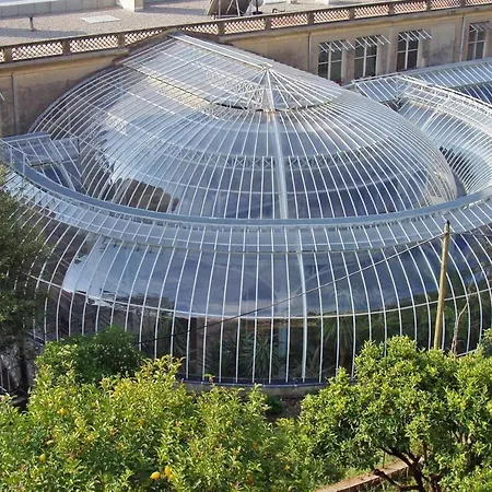 Riviera Palace Of
